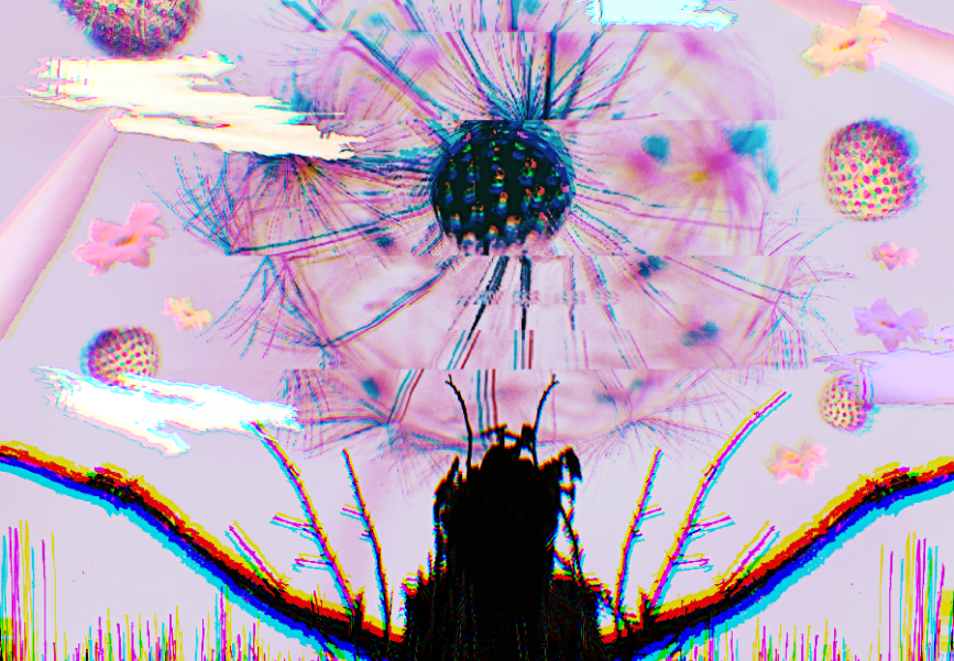 Composition 2
