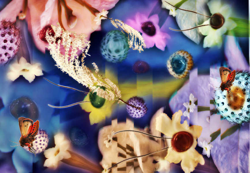 Composition 3
